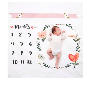 Monthly Baby Blanket Picture template